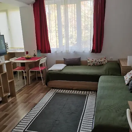 4 Seasons Apartments, A2 Lägenhet